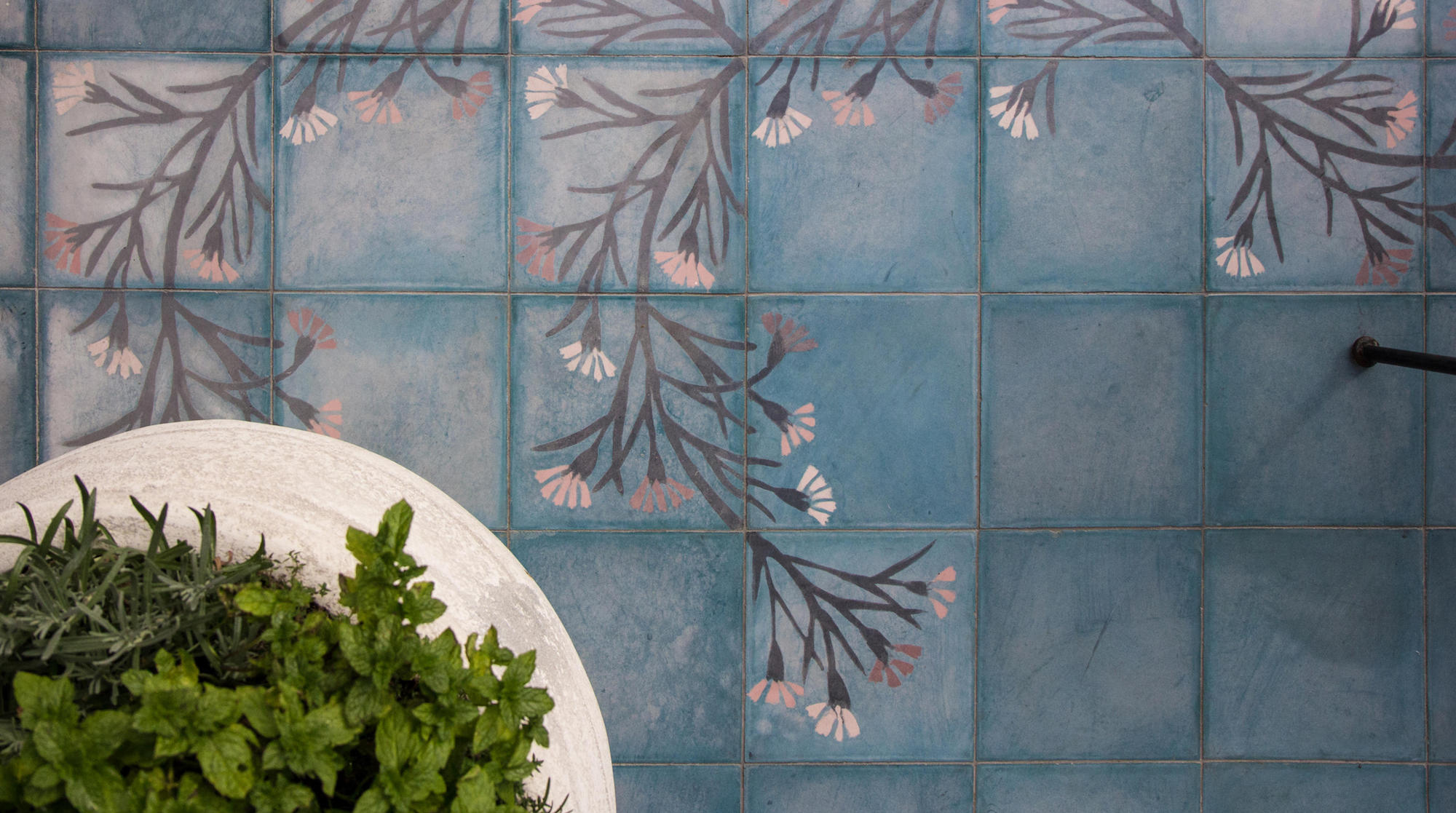 The Cupola London, England, United Kingdom Venue Report