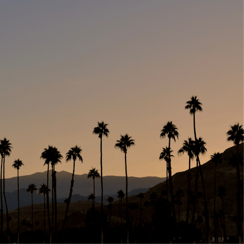 Drive into the nearby city centre of Palm Springs for shopping, restaurants and attractions