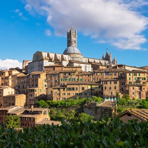 Head into the picturesque city of Siena for the day
