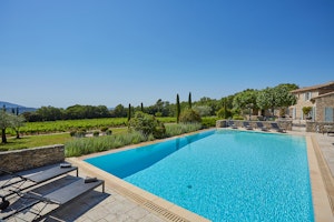 Champagne & Blue image 1