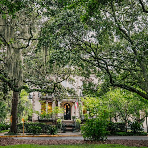 Explore the charming public squares of Savannah's Historic District