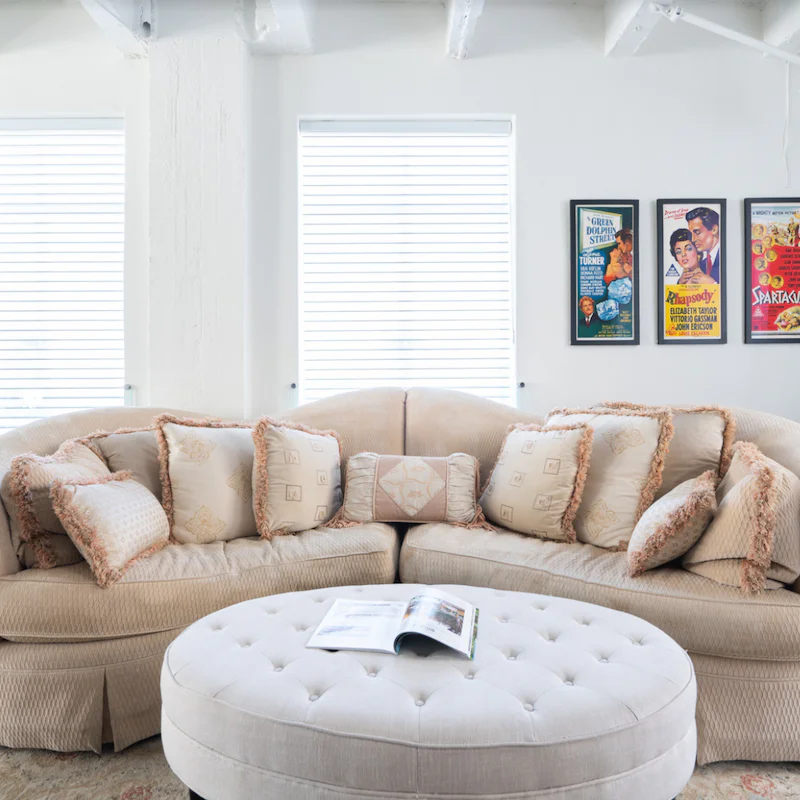 This plush couch