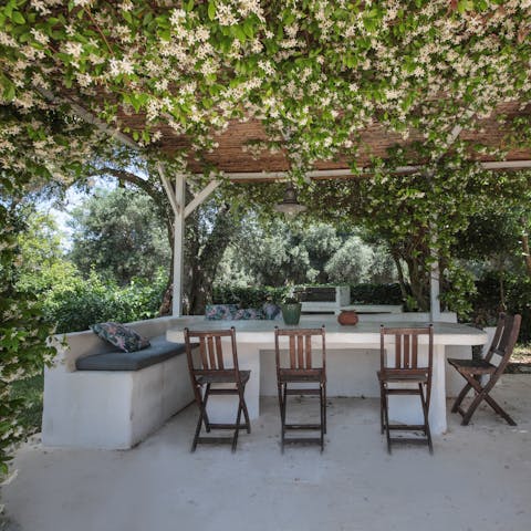 Dine in the shade of the pergola – will you cook on the barbecue?
