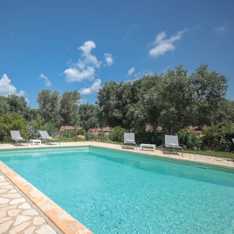 Dive into the private pool surrounded by olive trees