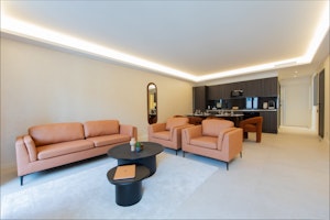 Cannes Lumière image 6