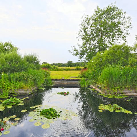 Relax by the pond