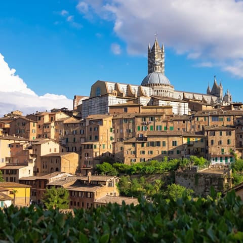Drive through Tuscan hills to the medieval city of Siena in just forty minutes