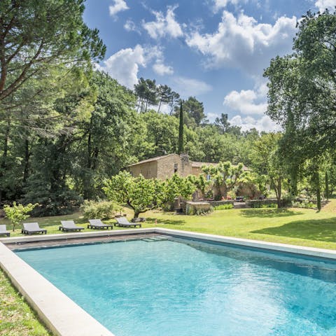 Relax and enjoy the tranquillity of the garden and pool 