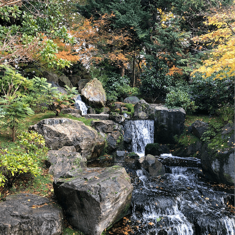 Stroll over to nearby Holland Park in five minutes and visit the Kyoto Garden