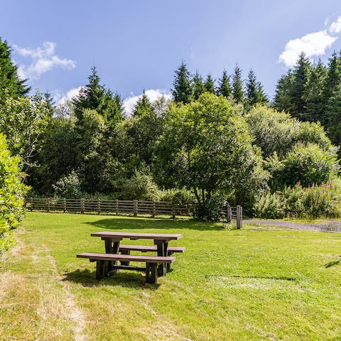 Stroll around the farm and find a picnic spot