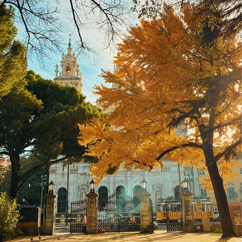 Stroll to Jardim da Estrela to experience Lisbon's quieter side