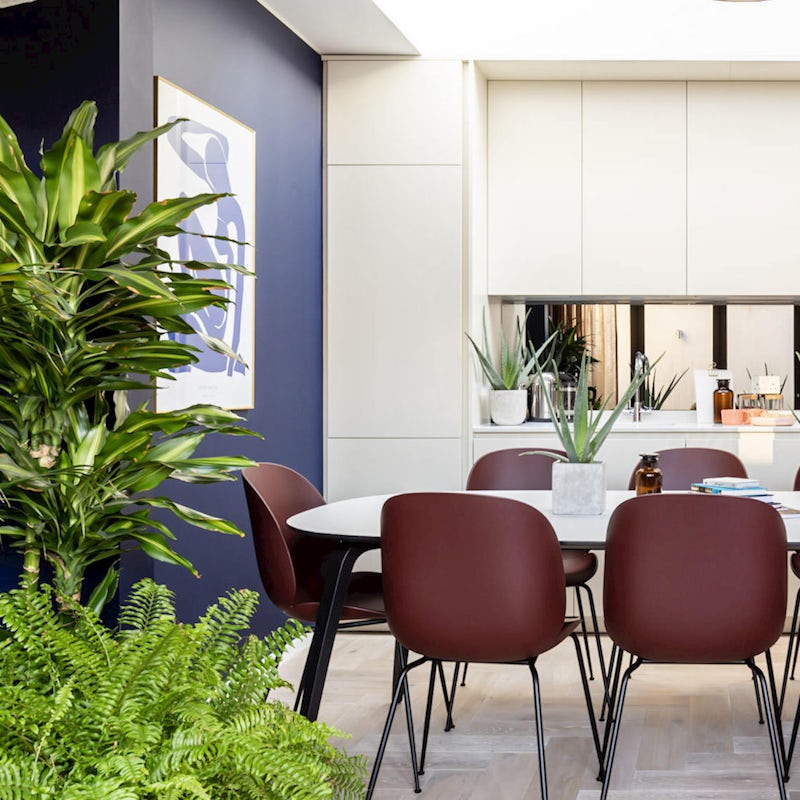 The Beautifully curated interiors