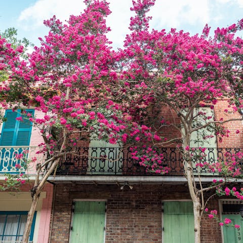 Take some snaps of the French Quarter's iconic architecture, an eight-minute ride from this home