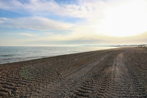 The Pevensey Pearl image 3