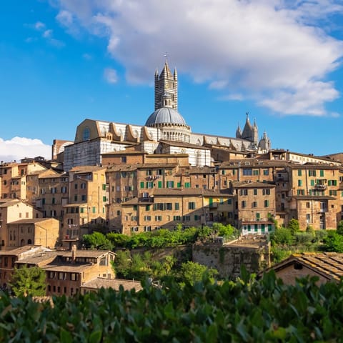 Visit the historic city of Siena, which is just an hour's drive away