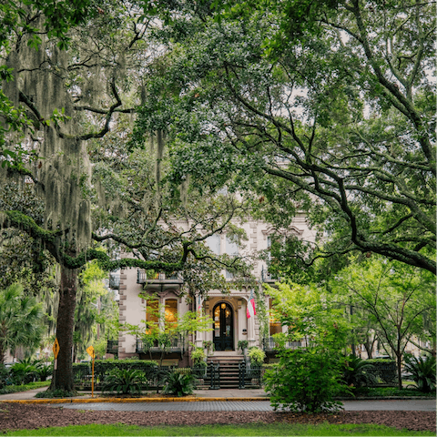 Explore Savannah's picturesque streets, leafy parks and riverside attractions, all within easy reach