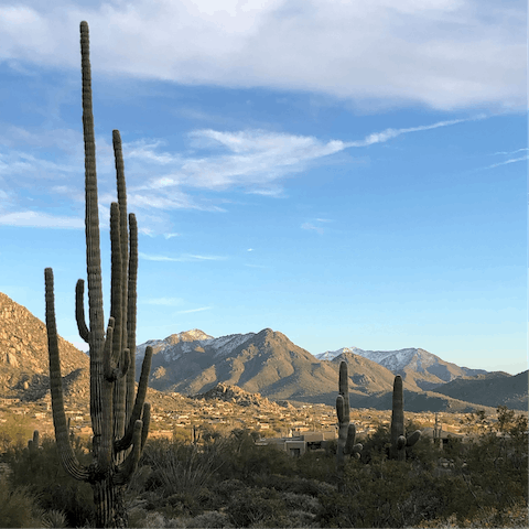 Explore the desert landscape in Phoenix Mountains Preserve, only twenty minutes away in the car