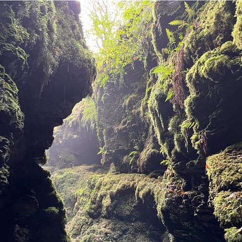 Explore the natural beauty of nearby Lydford Gorge