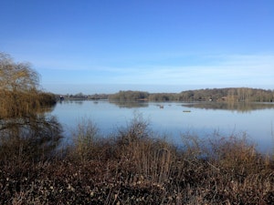 Far from the Madding Crowd image 10