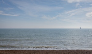 The Crabbing Shack image 11