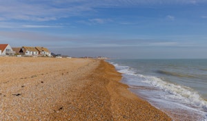 The Crabbing Shack image 6