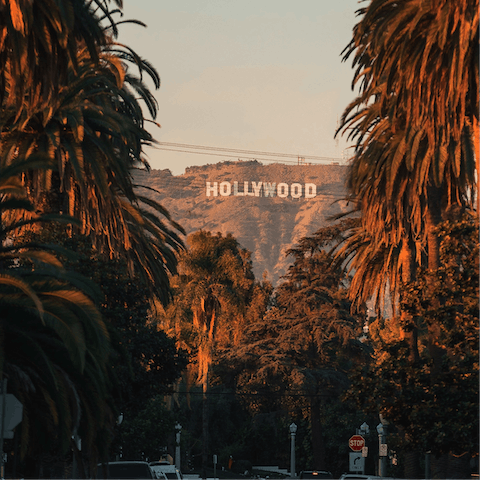 Explore Hollywood, just a twenty-minute drive away