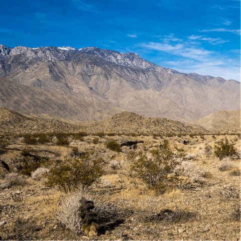 Stay just 7 miles away from Palms Springs Indian Canyons