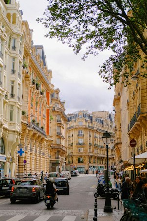 Parisian's Reverie image 9