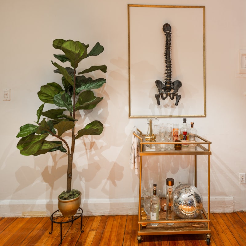 The bar cart and fiddly fig
