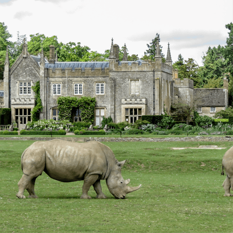 Drive to the Cotswolds Wildlife Park and Garden for a family day out