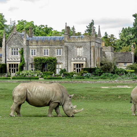 Drive to the Cotswolds Wildlife Park and Garden for a family day out
