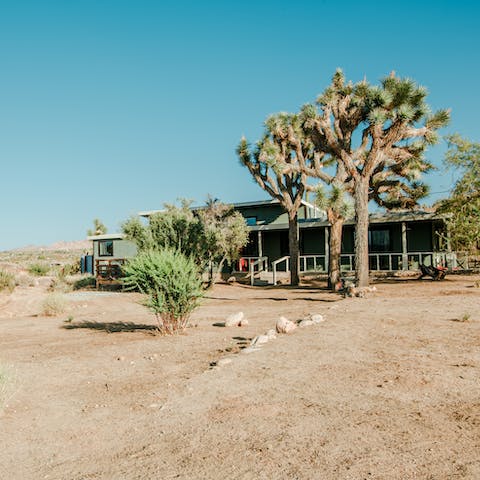 Enjoy the privacy of this secluded Joshua Tree location
