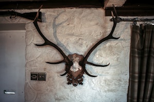 The Twitcher image 14