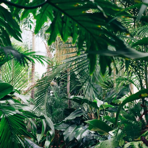 Visit the Nahariya Botanical Garden, within a ten–minute drive away