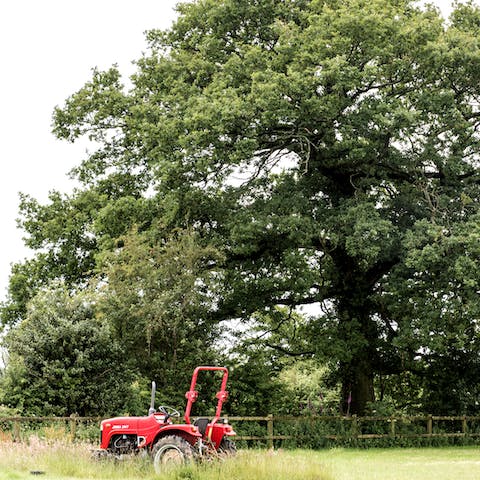 Stay on a farm in the heart of The Brecks, only a forty-minute drive from Norwich