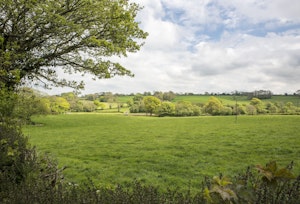 The Rambler's Retreat image 6