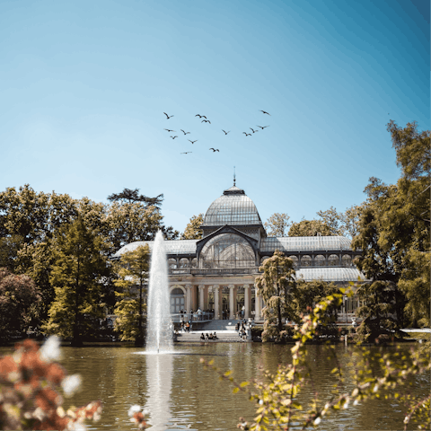 Hop on a bus down to El Retiro Park and stroll along the lakes