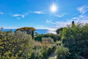 A Riviera Vista image 14
