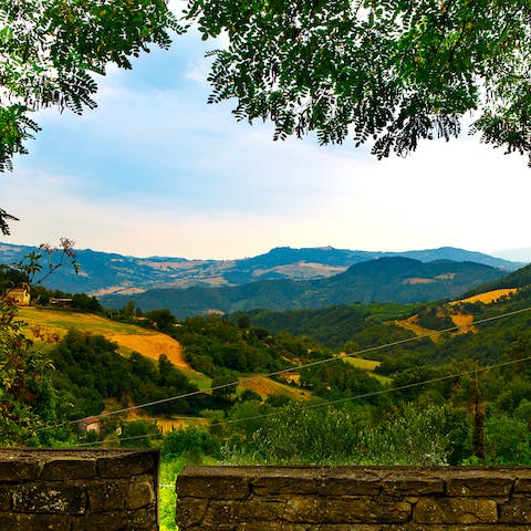Gaze upon the Emilia Romagna countryside from your garden