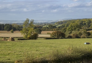 The Great Retreat image 15