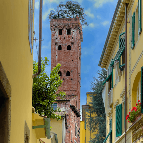 Discover ancient buildings in Lucca (a twenty-five-minute drive) 