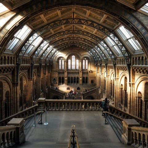 Wander around the Natural History Museum, a short stroll away