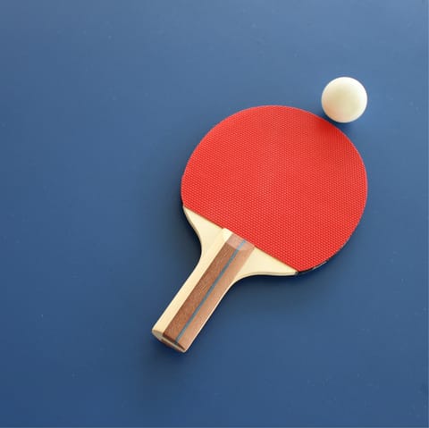 Play a game of table tennis