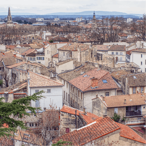 Take a day trip to explore the beautiful city of Avignon, located a forty-minute drive away 