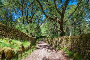 Scafell Cottage image 6