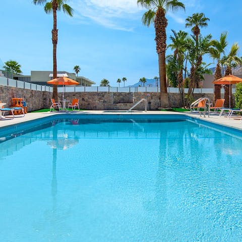 Cool down from the Palm Springs sun in the refreshing pool