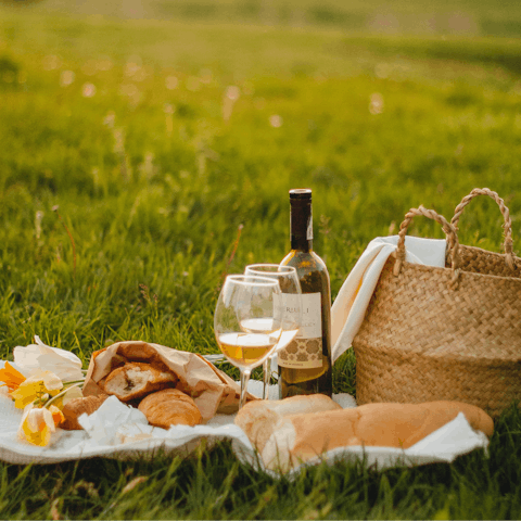 Take a family picnic out onto these safe grounds and chat about your adventures