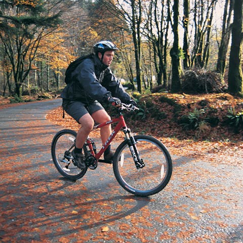 Go cycling in the Dyfi Forest