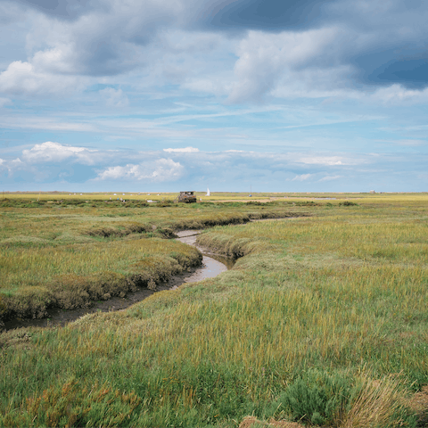 Put on your walking boots for a hike around the Blakeney National Nature Reserve