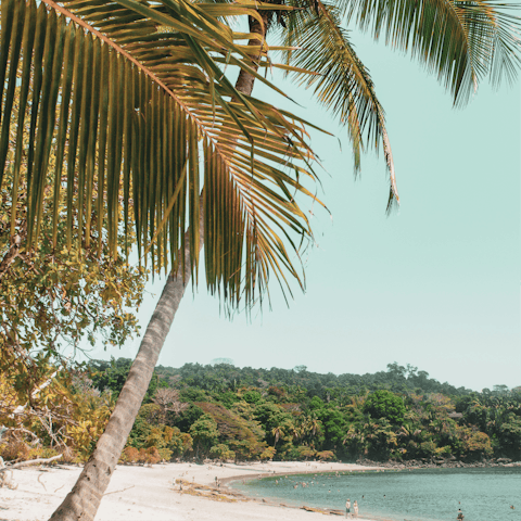 Explore the beautiful beaches of Puntarenas 